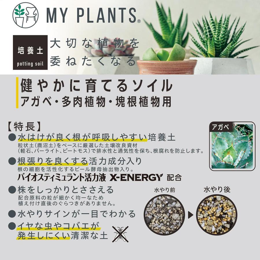 KINCHO園芸 培養土 MY PLANTS 健やかに育てるソイル アガベ