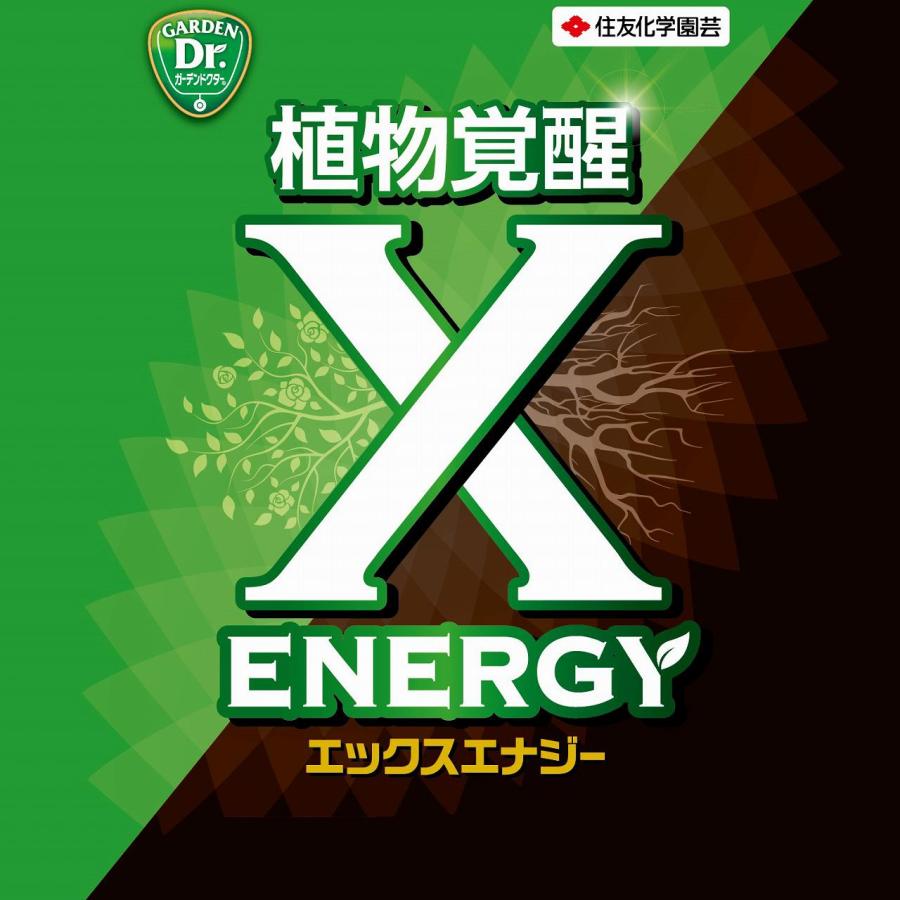 KINCHO園芸 X-ENERGY つめかえ用 1000ml KINCHO園芸 植物覚醒 エックス