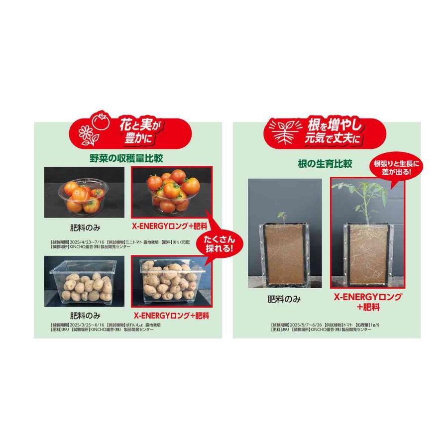 KINCHO園芸 X-ENERGYロング 粒タイプ 700g KINCHO園芸 植物覚醒