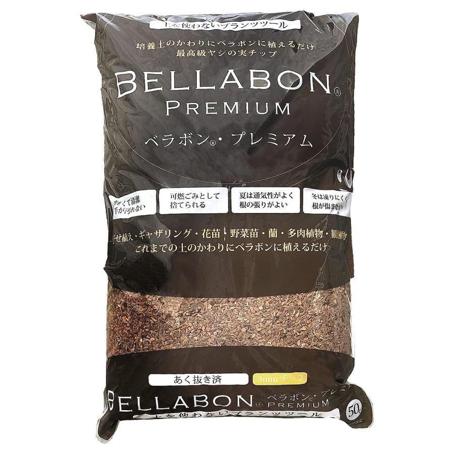 ベラボン・プレミアム 50L フジック 観葉植物 寄せ植え 多肉植物 ヤシ