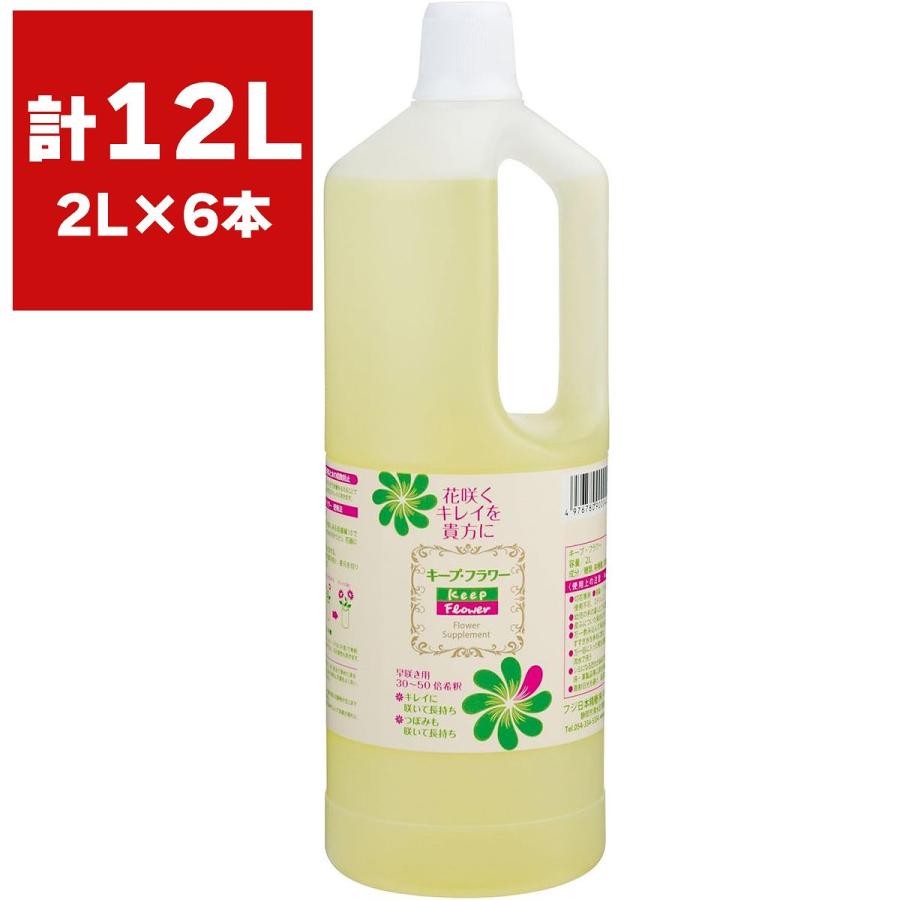 キープフラワー 2L ×6本 フジ日本 切花延命剤 バラ苗 切り花 延命剤 菊