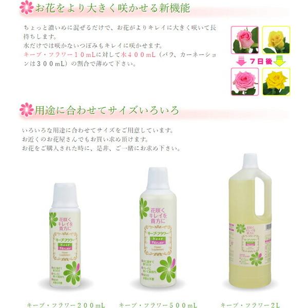 まとめ買い 2本入 キープフラワー 500ml フジ日本精糖 花咲くキレイを貴方に 延命剤 送料無料｜e-hanas｜03