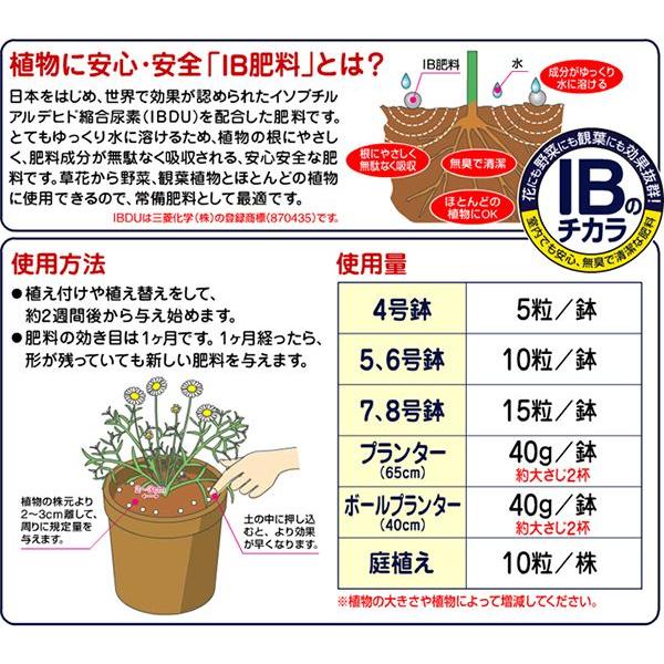 IBのチカラ グリーンそだち EX 1.4kg 花ごころ 室内でも安心 無臭で清潔な肥料 肥料｜e-hanas｜02