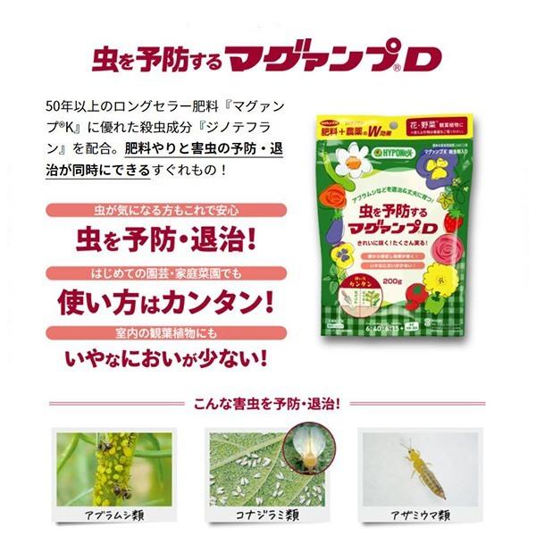 虫を予防する マグァンプD 200g ハイポネックス 肥料＋農薬のW効果 花・野菜 観葉植物 殺虫成分入り 肥料 M4｜e-hanas｜02