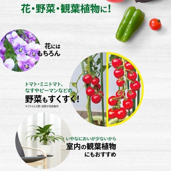 虫を予防する マグァンプD 200g ハイポネックス 肥料＋農薬のW効果 花・野菜 観葉植物 殺虫成分入り 肥料 M4｜e-hanas｜07