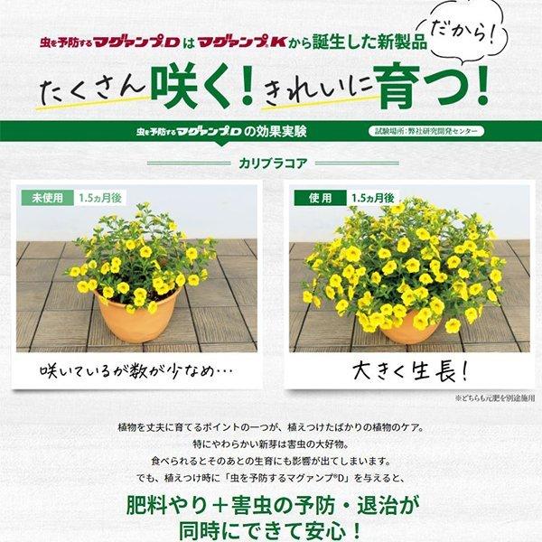 口コミ まとめ買い 30袋入 虫を予防する マグァンプD 200g ハイポネックス 肥料＋農薬のW効果 花・野菜 観葉植物 殺虫成分入り 肥料