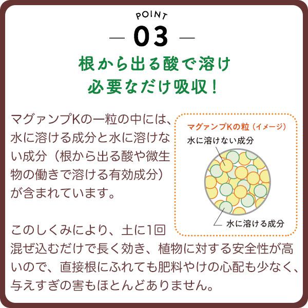 マグァンプＫ 大粒 20kg ハイポネックス 速攻 緩効性 長期持続肥料 粒状緩効性肥料 送料無料 代金引換不可 
