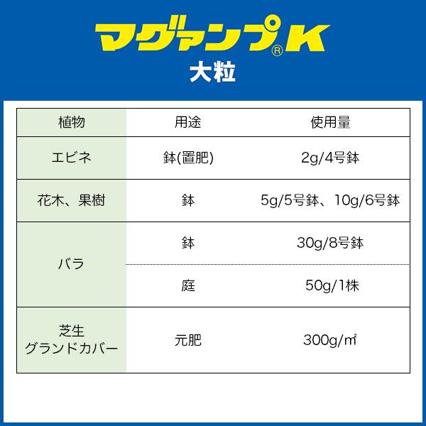 ハイポネックス 肥料 マグァンプK 大粒 1.1kg 肥料 野菜 肥料 芝生