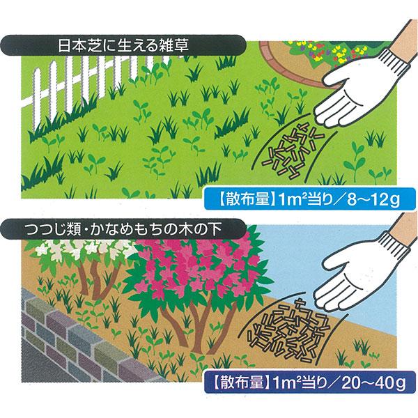 【中古】 雑草で元気になる本 食べるレシピ＆薬効メモ付き/双葉社/小崎順子 Amazon.co.jp: 雑草で元気になる本: 食べるレシピ&薬効メモ付き