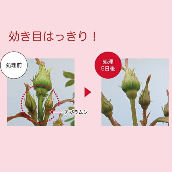 ハイポネックス原液 殺虫剤入り 430ml ハイポネックス ブリリアントガーデン バラのアブラムシに 肥料 E Hanas イーハナス Yahoo 店 通販 Yahoo ショッピング