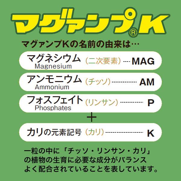 マグァンプK 中粒 2.5kg ハイポネックス 草花・球根・野菜・プランターに 約1年間の効きめ 緩効性肥料 土に混ぜこむ元肥｜e-hanas｜02