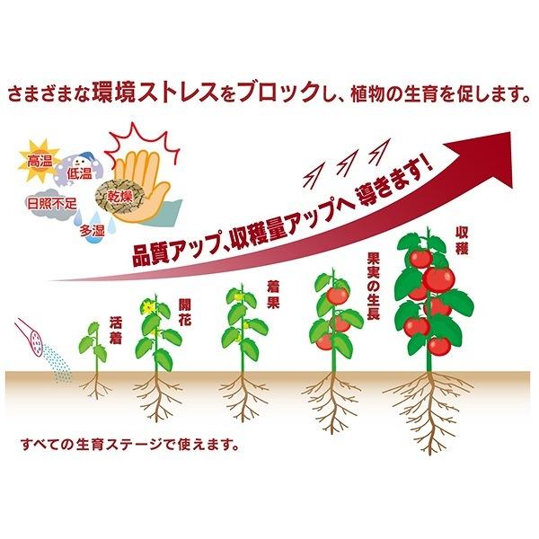 ハイポネックス 肥料 ストレスブロック 500ml 野菜 バラ 野菜