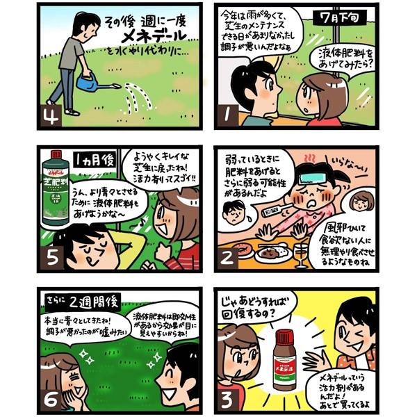 メネデール 2L 植物活力素 活力液 野菜 花 観葉植物 活力剤 栄養剤 : e