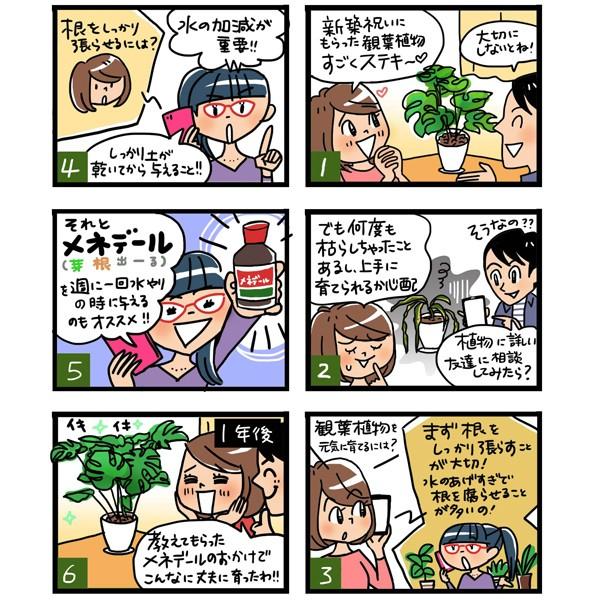 うのにもお得な メネデール 2l 植物活力素 活力液 Aynaelda Com