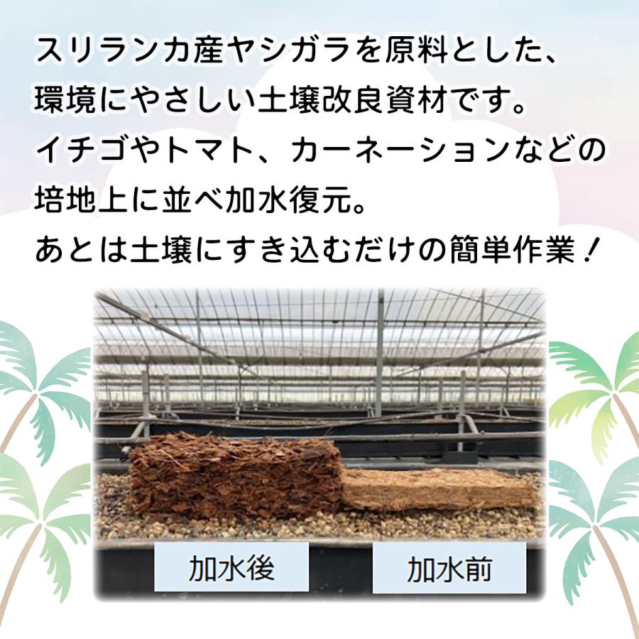 土壌改良材 ココロック 250g 48個入 イノベックス ヤシガラチップ