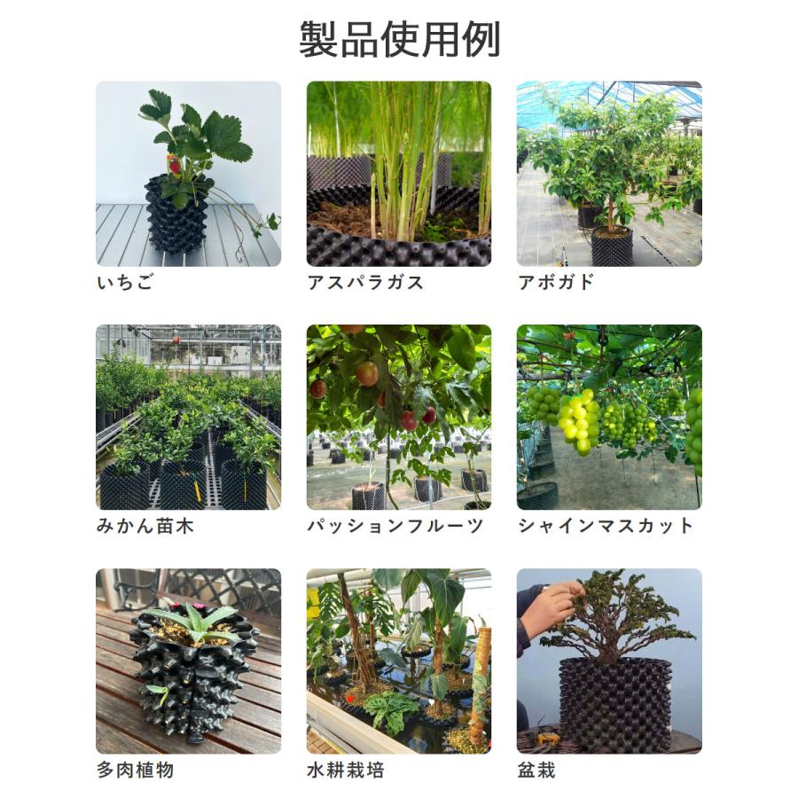 まとめ買い 7個入 ルートプラスポット ブラック 7.5L GSAP200M 南榮工業 RootPlusPOT プラスチック鉢 送料無料 代金引換不可_10