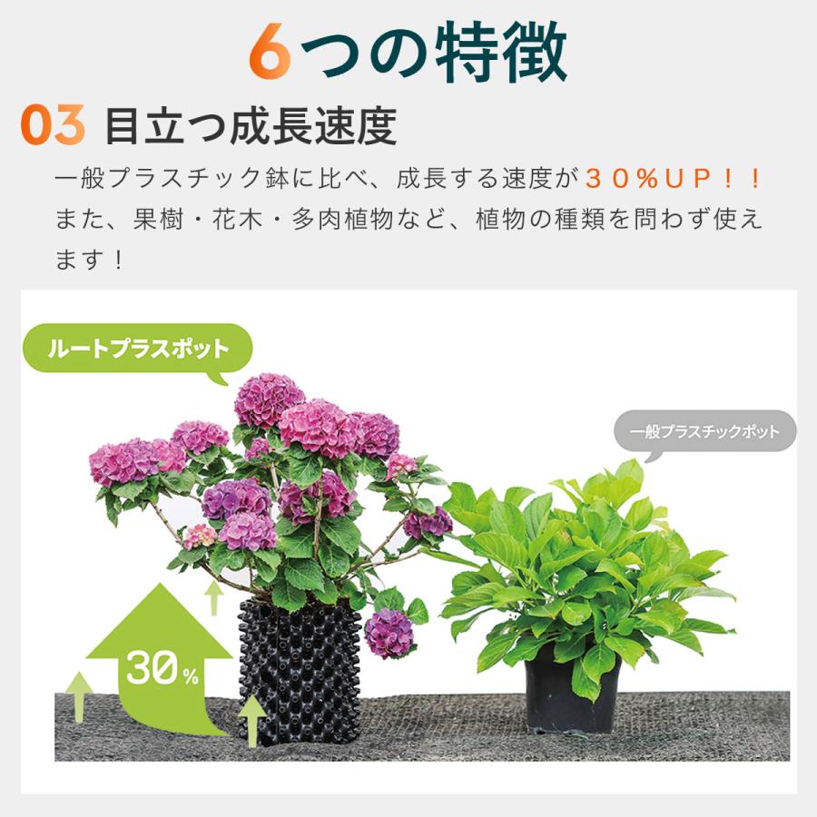 まとめ買い 7個入 ルートプラスポット ブラック 7.5L GSAP200M 南榮工業 RootPlusPOT プラスチック鉢 送料無料 代金引換不可_4