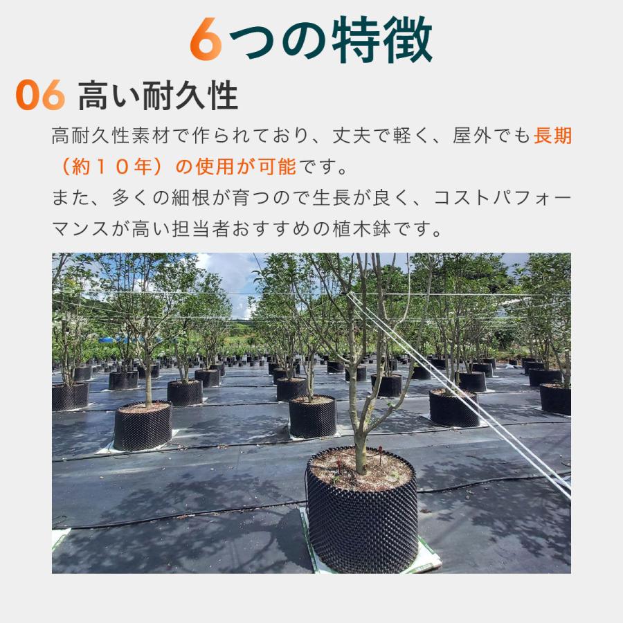 まとめ買い 7個入 ルートプラスポット ブラック 7.5L GSAP200M 南榮工業 RootPlusPOT プラスチック鉢 送料無料 代金引換不可_7