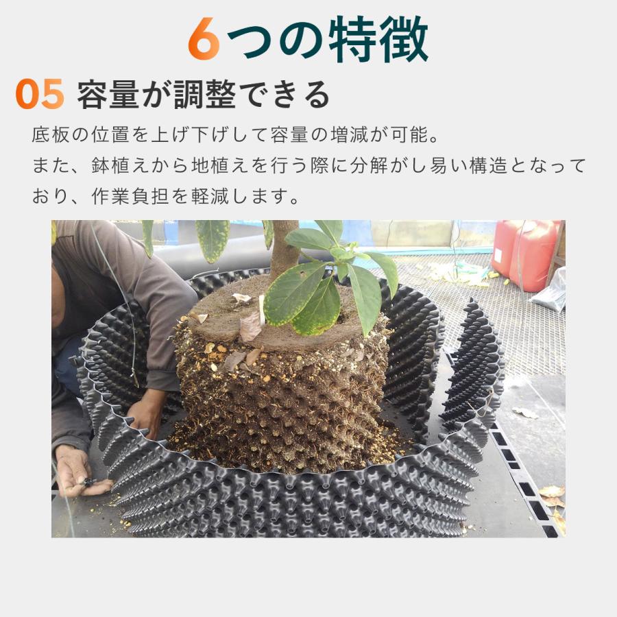はるさくさん専用　パールアカシア　ルートプラスポット入り/318 ルートプラスポット ブラック 18L GSAP300S 南榮工業 RootPlusPOT