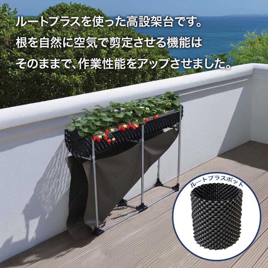 高設架台 ルートプラスステージエントリー W:250×D:1320×T:830mm 南榮工業 高設栽培架台 ルートプラス 農業資材 ガーデニング用品_1