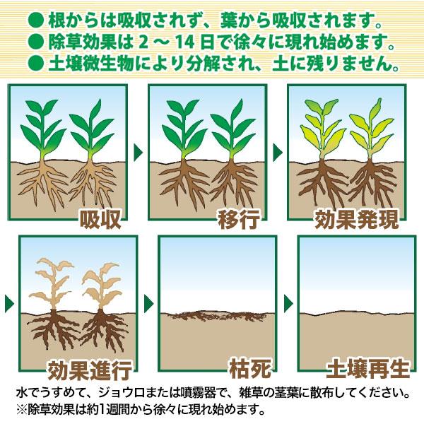 まとめ買い 4本入 グリホエースPRO 5L ハート 農薬登録品 グリホサート液剤 根まで枯らす除草剤 原液タイプ ササ つる スギナ 除草 雑草対策 雑草退治 除草剤｜e-hanas｜03