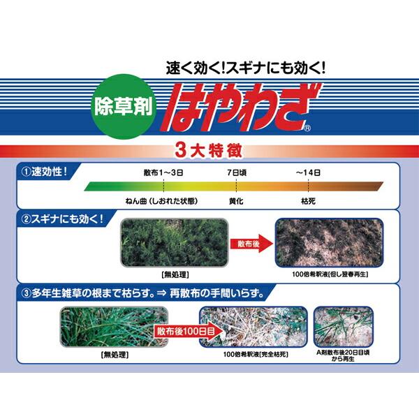 まとめ買い 2本入 はやわざ 5L ハート 除草剤 送料無料 