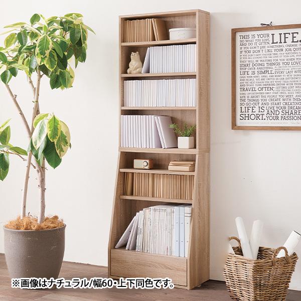 棚板調節可能な本棚 下棚・幅60cm | 