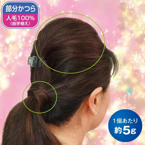 ミニヘアピース 2個セット 栗色 自然色 白髪60％入り | 