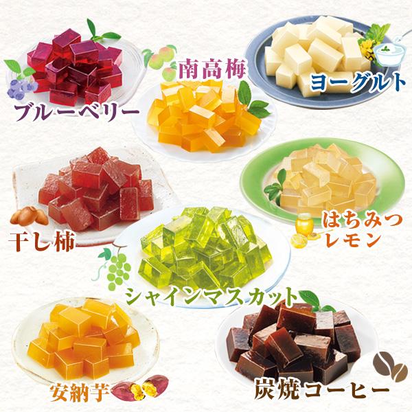 プロコン寒天  1セット | 