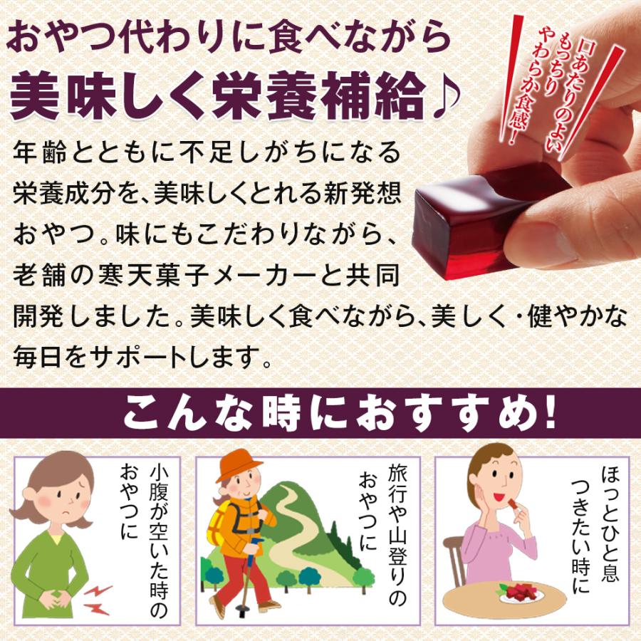 プロコン寒天  1セット |  | 10