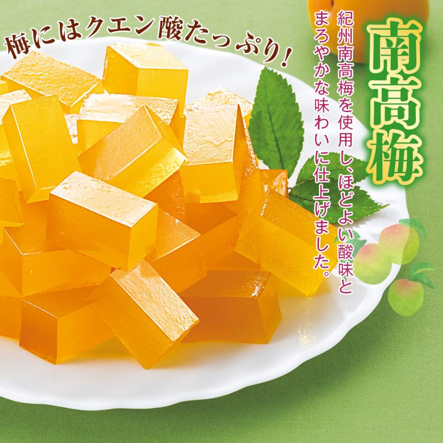 プロコン寒天  1セット |  | 03