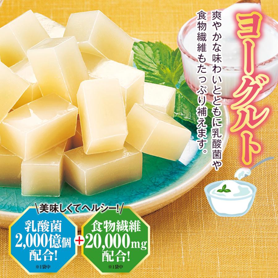 プロコン寒天  1セット |  | 04