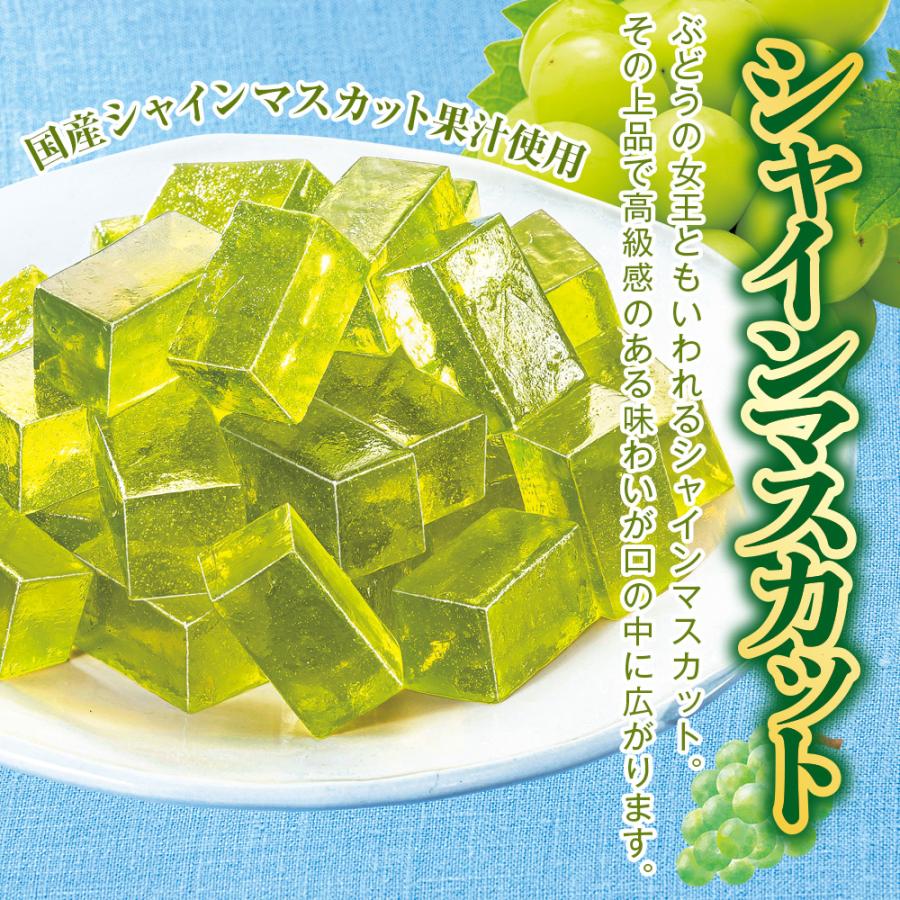 プロコン寒天  1セット |  | 06