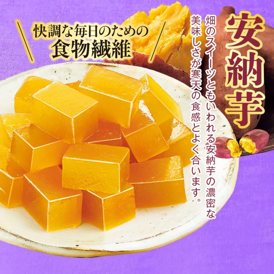 プロコン寒天  1セット |  | 07