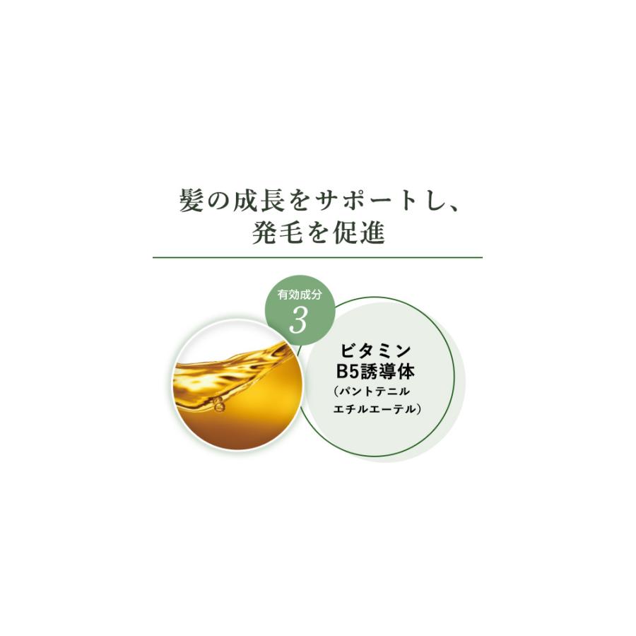薬用育毛剤 新髪24V-UP 200mL 育毛 発毛 毛髪 抜け毛 薄毛 |  | 05