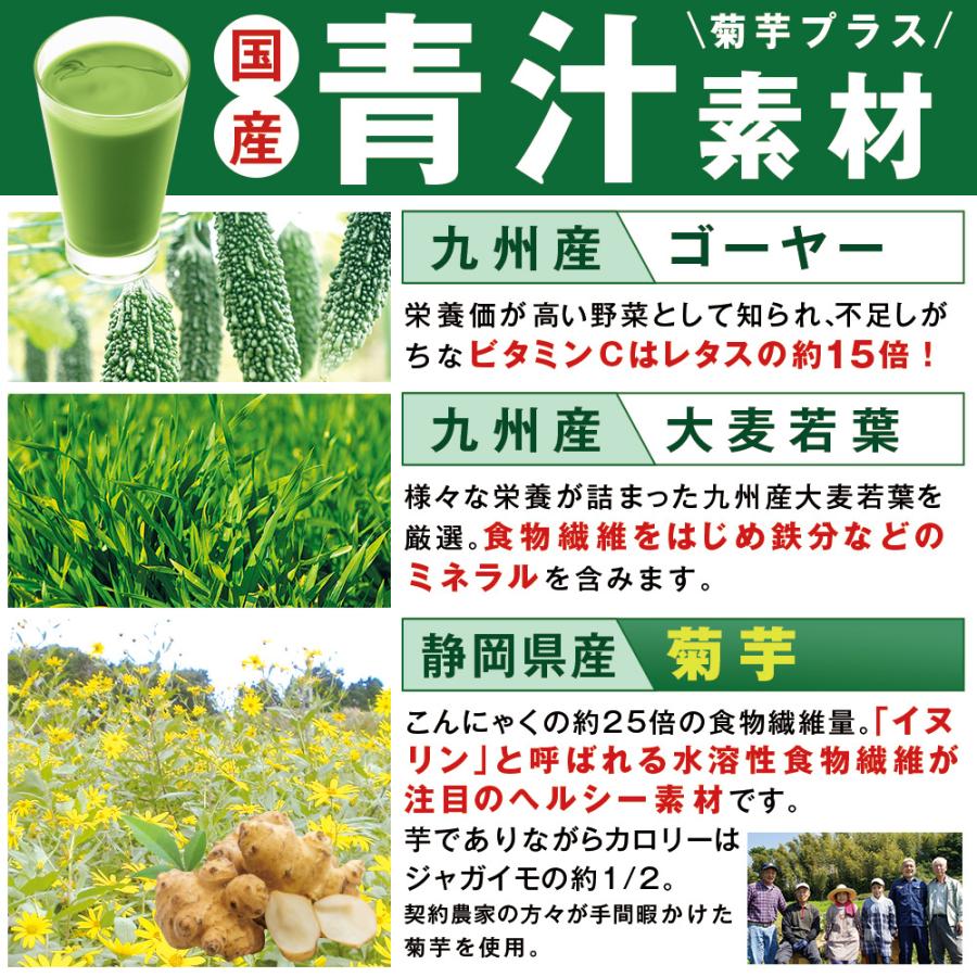 ゴーヤーと菊芋の粒青汁 3パックセット |  | 02