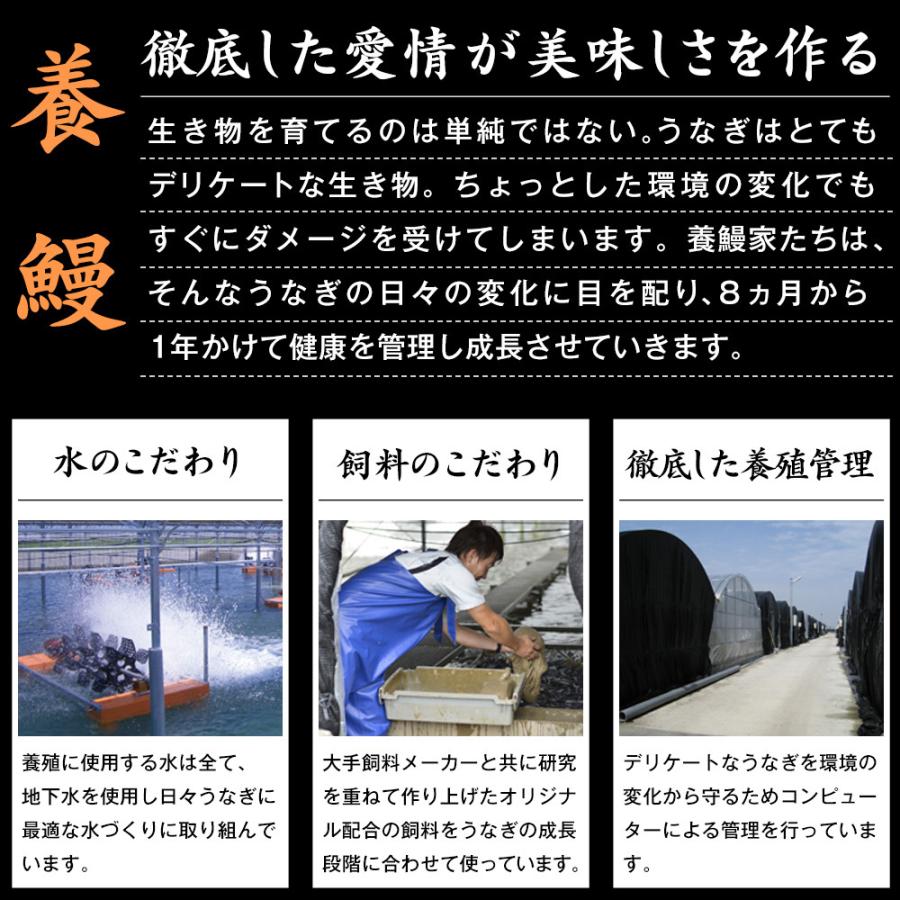 鰻楽うなぎ 蒲焼3尾+刻み付 |  | 03