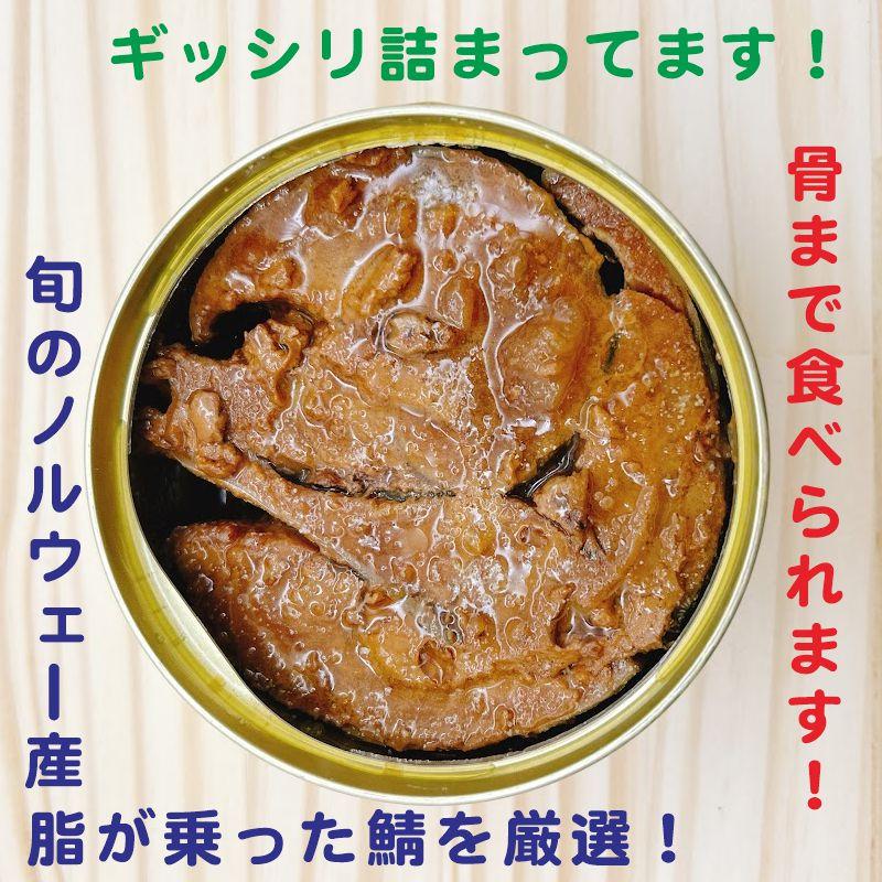 6つの味から選ぶ！鯖缶 2個ギフトセット 箱入り 鯖街道 さば缶 鯖缶
