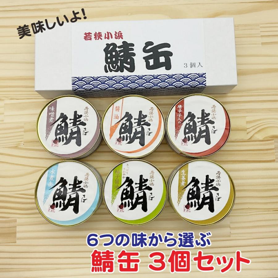 6つの味から選ぶ！鯖缶 3個ギフトセット 箱入り 鯖街道 さば缶 鯖缶