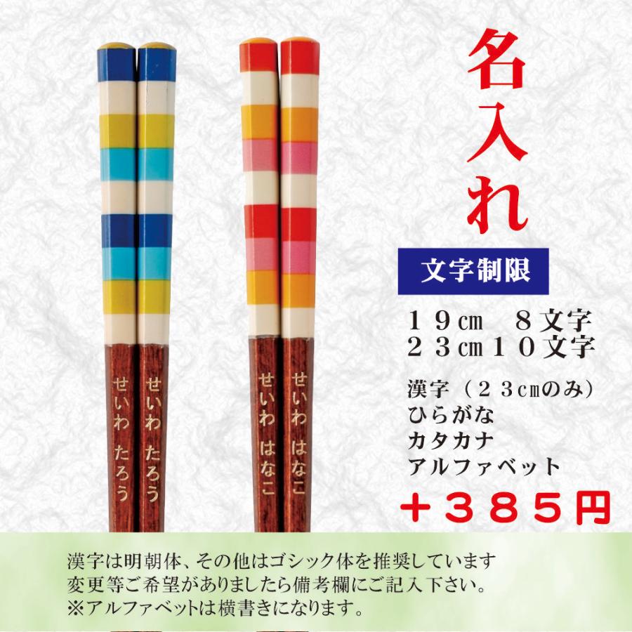 公式 虹色の六角箸 六角知能箸 名入れ 木製 日本製 小学生 中学生