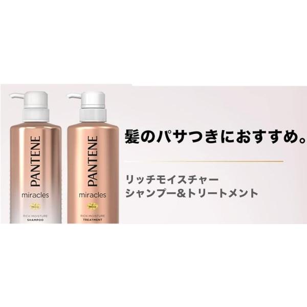 パンテーン ミラクルズ リッチモイスチャー　パサつき改善　しっとりまとまる　ノンシリコンシャンプー ポンプ 500ml｜e-hiso｜02