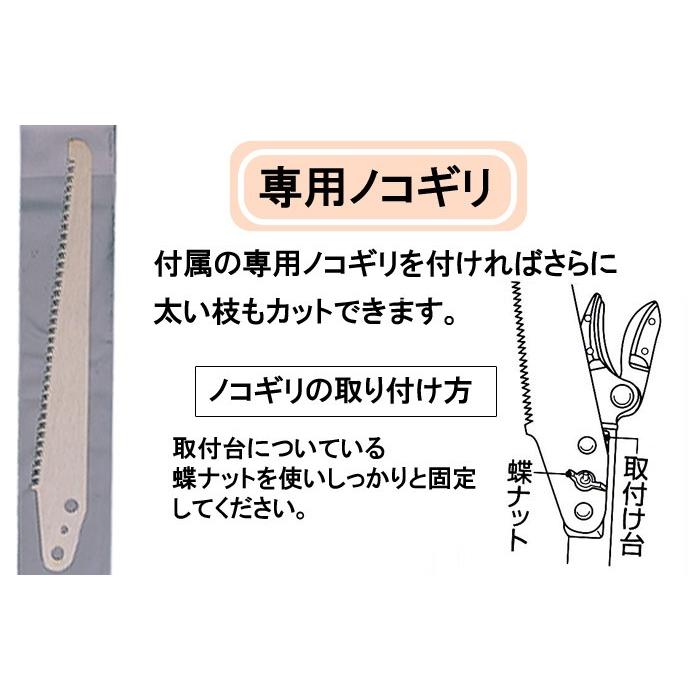 高枝切りバサミ 剪定鋏 園芸用品 高枝鋏 ポールスリム2段式 アンビル刃 NO321 専用ノコギリ付き ガーデニング雑貨 園芸工具|e-housemania|03