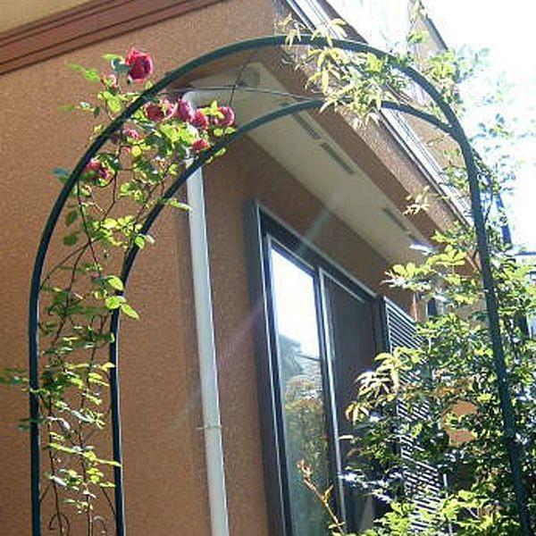 最新情報 ガーデンアーチ ローズアーチ アイアン モスグリーン R N型 幅1100 高さ2300 奥行400 組立式 Diy ローズ 薔薇 誘引 送料無料 正規品 Www Thedailyspud Com