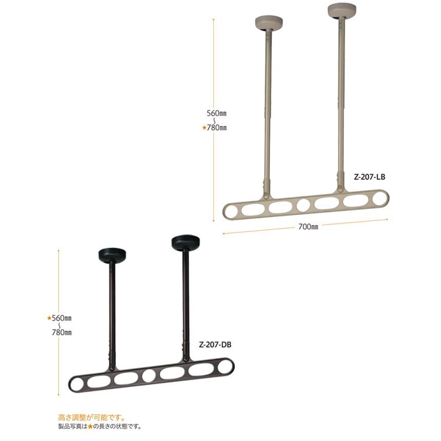 物干し 屋外 軒下天井吊り下げタイプ 物干金物 物干し掛け 川口技研 軒
