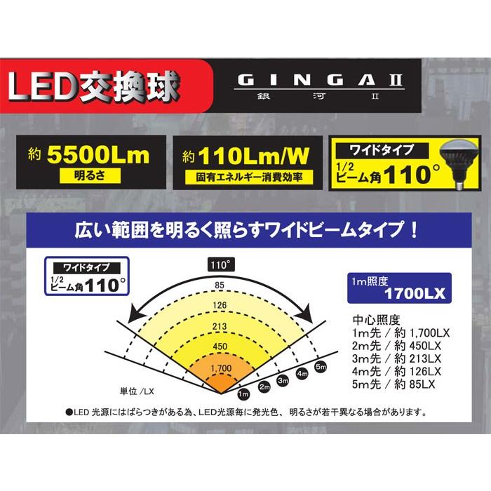 投光器 電球 交換 led 100v GINGA2 50W 屋外用 超高輝度 口金E39 作業
