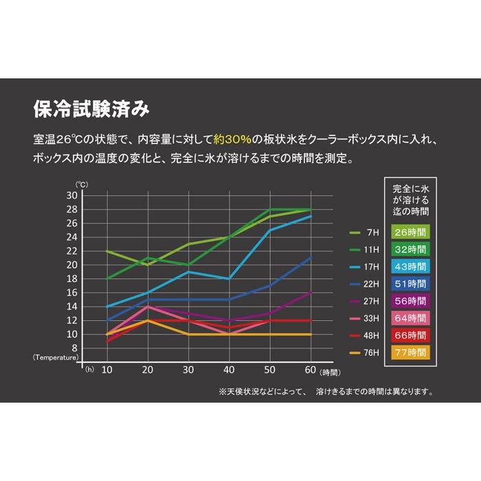 クーラーボックス 大型 保冷 ホリデー ランド クーラー 17L 500ml×14本分 ホワイト 保冷力 発泡材 取手 日本製 クーラーバッグ ショルダーベルト付きの画像