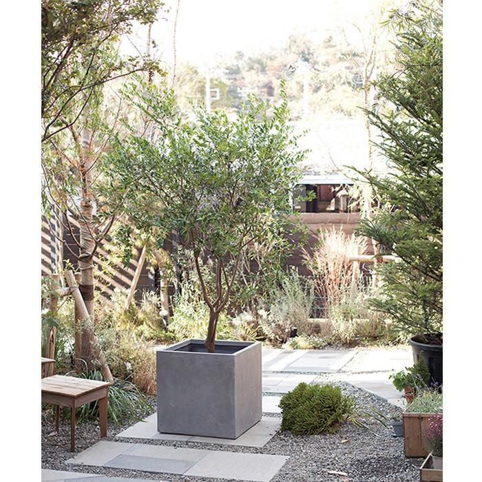 プランター 植木鉢 大型 ファイバープランター ベータ 65×65×65cm
