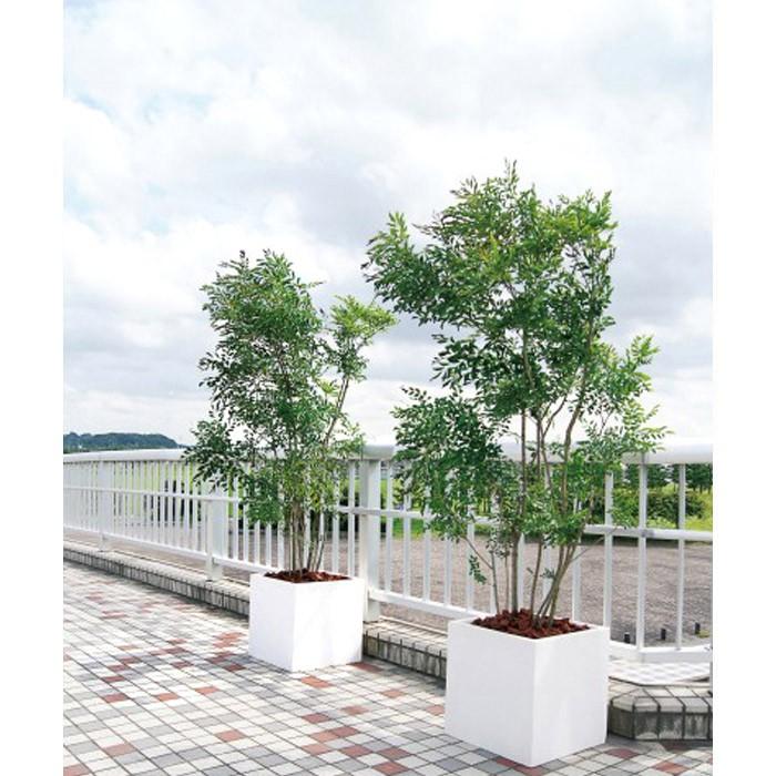 プランター 植木鉢 大型 ファイバープランター ベータ 55×55×55cm