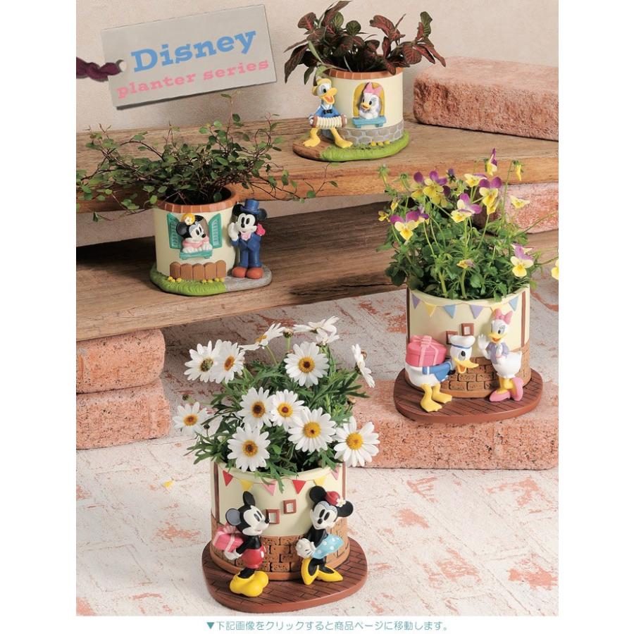 プランター 植木鉢 ディズニー パーティー ミッキーマウスとミニー