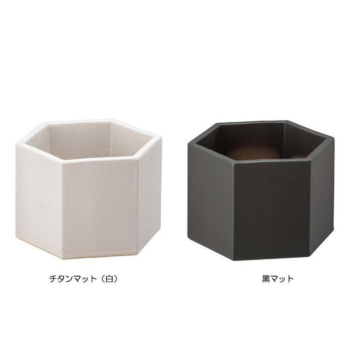 プランター 植木鉢 六角鉢 Sサイズ 底穴あり 幅30×26×20cm チタン